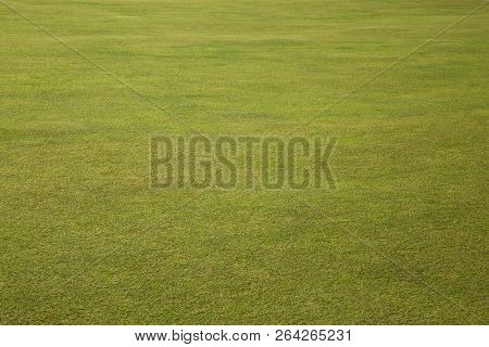 Golf Course Fairway Expanse Close Up View