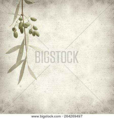 Textured Old Paper Background With Green Olives Ripening On Branches