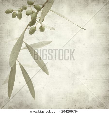 Textured Old Paper Background