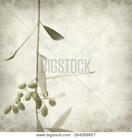 Textured Old Paper Background