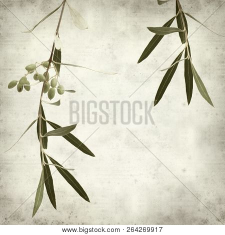 Textured Old Paper Background