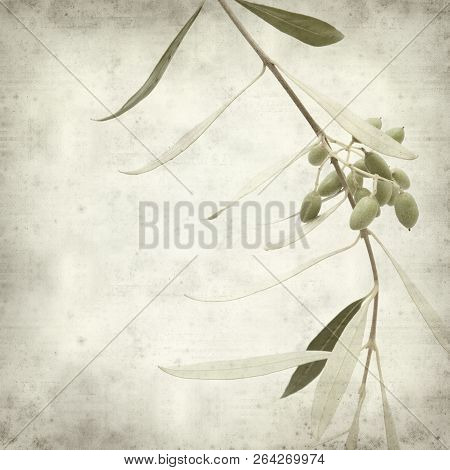 Textured Old Paper Background