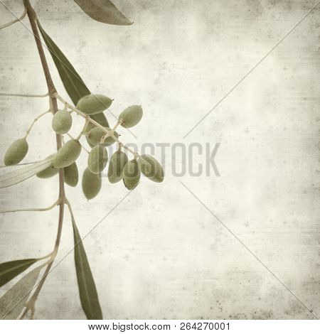 Textured Old Paper Background