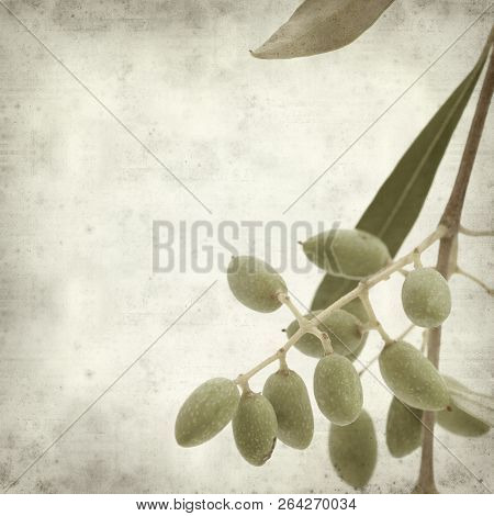 Textured Old Paper Background