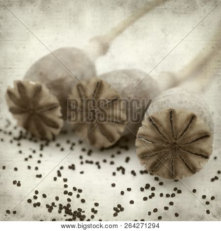 Textured Old Paper Background