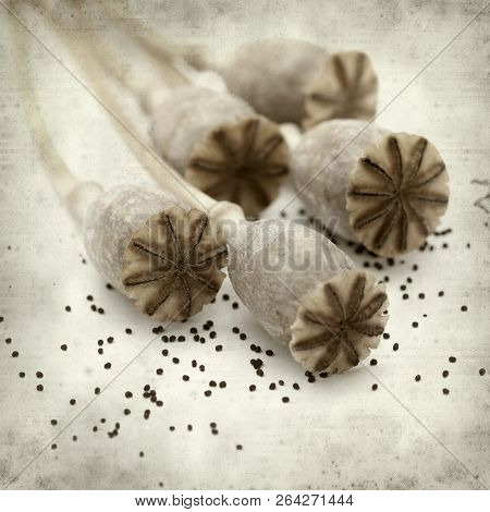Textured Old Paper Background