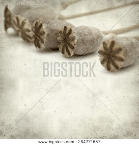 Textured Old Paper Background
