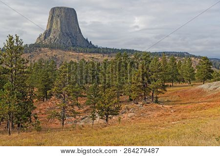 The Devils Tower Over The Forest Landscape