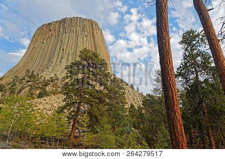 Devils Tower Summit Seen Through The Trees