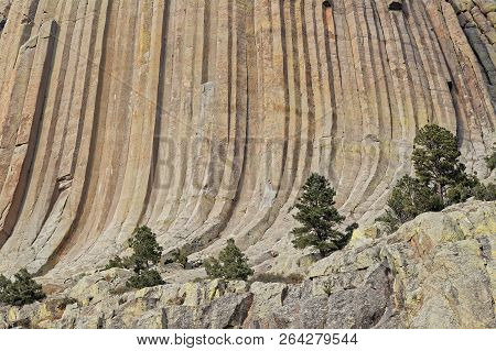 Details Of The Rocks Slopes Of Devils Tower