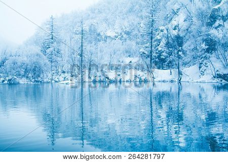 Croatia, Plitvice, Reflection Of Trees Under Snow On Lake In Nature Park Plitvicka Jezera In Winter