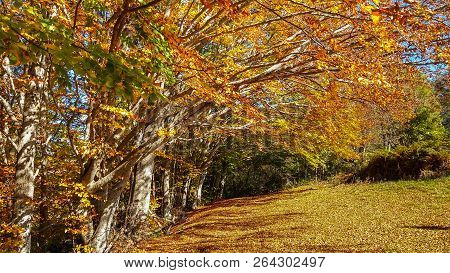 Autumn In Gran Sasso E Monti Della Laga National Park, Abruzzo, Italy
