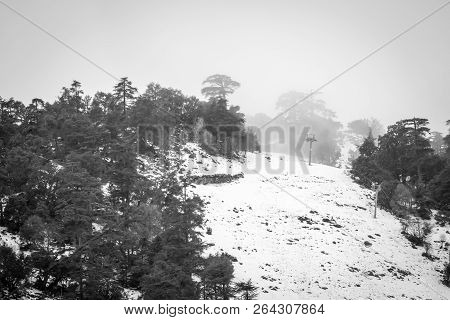 Snow On Michlifen