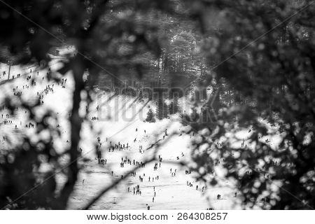 Snow On Michlifen