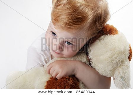 babay embrace toy dog