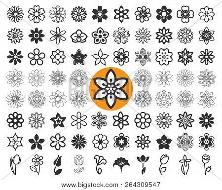Set Of Flower Icons And Floral Guilloche. Floriculture Symbols. Vector Illustration.