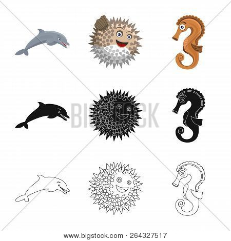 Vector Illustration Of Sea And Animal Symbol. Set Of Sea And Marine Stock Vector Illustration.