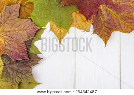 Outumnal Background, Texture, Frame With Leaves On Wooden