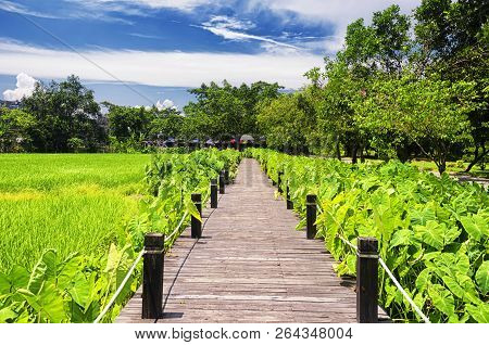 The Historic Buildings Of Kaiping Diaolou In Zili Village In Kaiping China In Guangdong Province On 