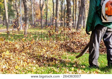 Worker Operating Heavy Duty Leaf Blower In City Park. Removing Fallen Leaves In Autumn. Leaves Swirl