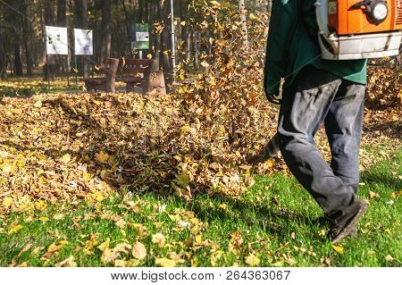 Worker Operating Heavy Duty Leaf Blower In City Park. Removing Fallen Leaves In Autumn. Leaves Swirl