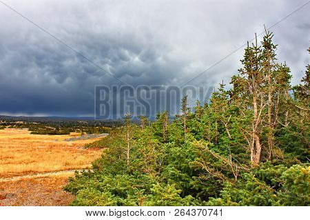 Libby Flats Near Snowy Range Pass In The Medicine Bow National Forest Of Wyoming