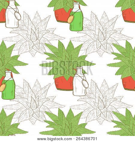 Agave, Scarlet. Background, Wallpaper, Unhurried. Sketch. Abstraction.