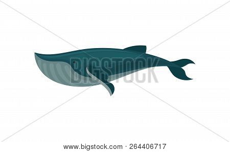 Flat Vector Icon Of Blue Whale. Large Marine Mammal. Sea Animal. Element For Children Book Or Mobile