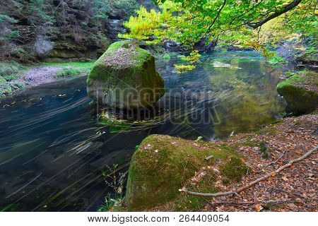Old Magical Forst With Fallen Orange Leaves Into River. Mystical Autumn Forest In Fog. Amazing Color