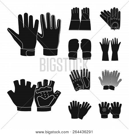 Vector Design Of Glove And Winter Sign. Collection Of Glove And Equipment Vector Icon For Stock.