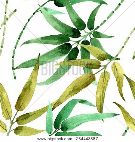 Bamboo Green Leaf. Leaf Plant Botanical Garden Floral Foliage. Seamless Background Pattern.