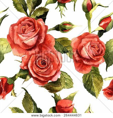 Watercolor Red Rose Flower. Floral Botanical Flower. Seamless Background Pattern.