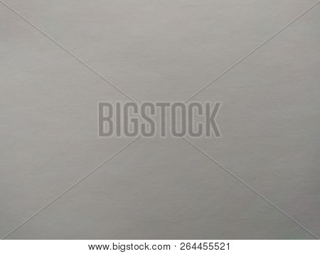 Paper Texture Art Blank Clear Decorative Cardboard Background Grey