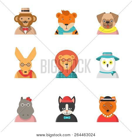 Animal Funny Faces. Hipster Avatars Of Monkey Cat Kangaroo Hippo Tiger Cute Clothes Zoo Vector Chara