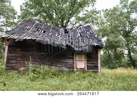 old wooden house in the forest