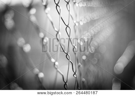 Close Up Chain Fence. Metal Mesh. Black And White Tone