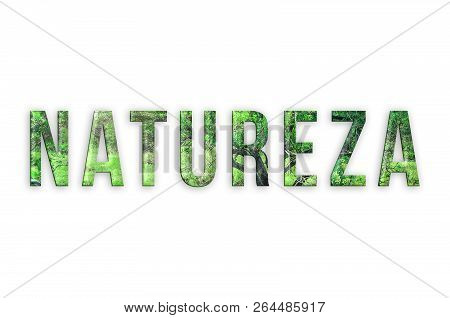 Natureza. Written Nature (in Portuguese) With Forest Foliages Texture. Isolated On White.