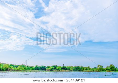 View Of Beautiful Clouds Sky With Meadow Green Tree And Plain Landscape Use For Wallpaper And Backdr