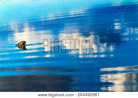 Great Blue White Reflection Water Abstract Lake Sammamish State Park Issaquah Washington