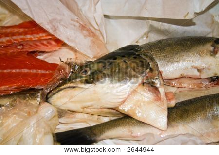 Peixe cru