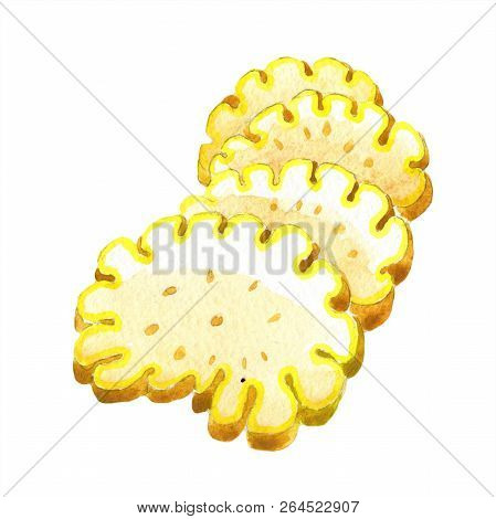 Exotic Tropical Plant Wild Fruit In A Watercolor Style Isolated.