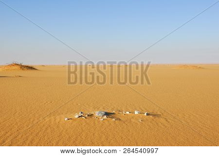 Sahara Desert Beautiful Landscape Nearby Dakhla Oasis In Egypt At Morning Light. Africa