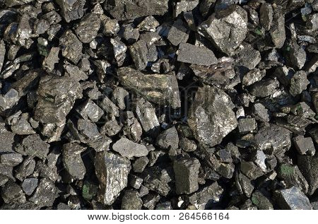 Coal Anthracite Enriched With A Large Grade Walnut