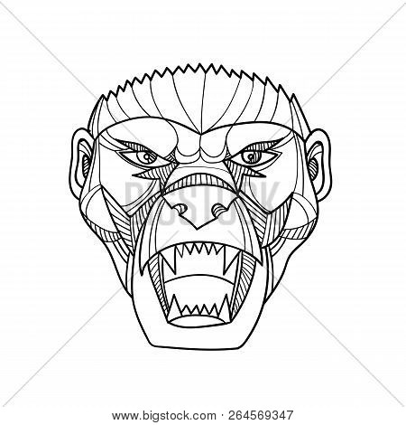Mono Line Illustration Of Head Of An Angry And Aggressive Honey Badger Or Ratel Viewed From Front Do