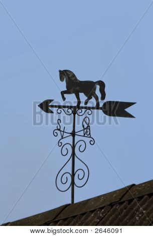 Cheval sur le toit
