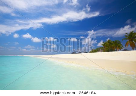 Coral tropischen Strand