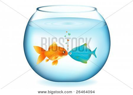 두 물고기 수족관, 흰색 절연 키스