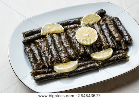 Stuffed Grape Leaves With Olive Oil And Lemon / Zeytinyagli Yaprak Sarma Dolma