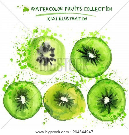 Set Of Watercolor Qiwi Vector Illustration. Splashed Hand Draw Qiwi Isolated On White Background, Ar