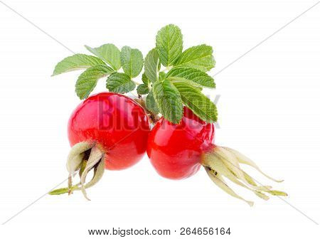 Rosehip Berries With Leaves Isolated On White Background